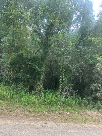 TBD Cedar Valley Drive, Coldspring, TX 77331
