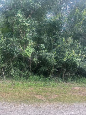 TBD Cedar Valley Drive, Coldspring, TX 77331