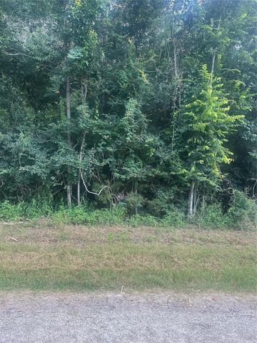 TBD Cedar Valley Drive, Coldspring, TX 77331