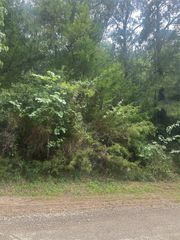 TBD Cedar Valley Drive, Coldspring, TX 77331