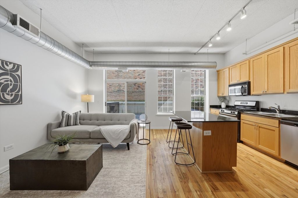 1919 S Michigan Avenue 208, Chicago, IL 60616 — photo 3