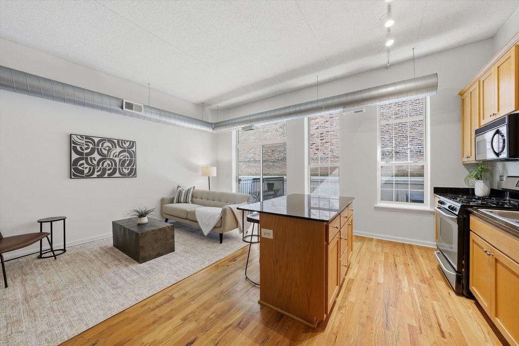 1919 S Michigan Avenue 208, Chicago, IL 60616 — photo 4