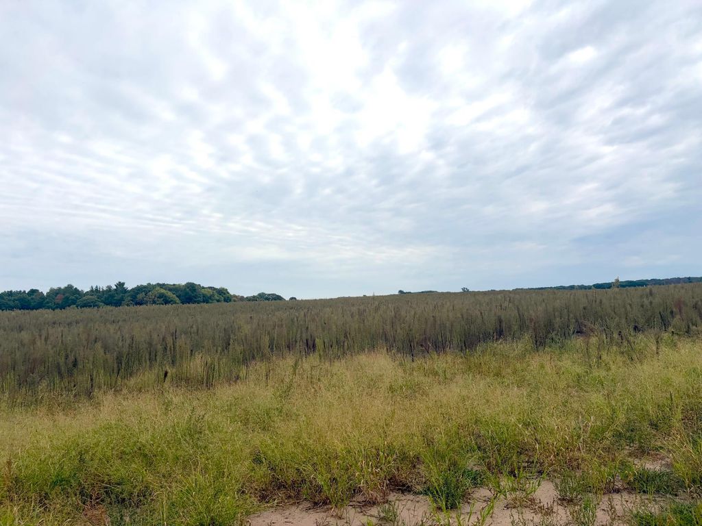 TBD (L8-SM East) Flamingo Street NW, Isanti, MN 55040 — photo 2