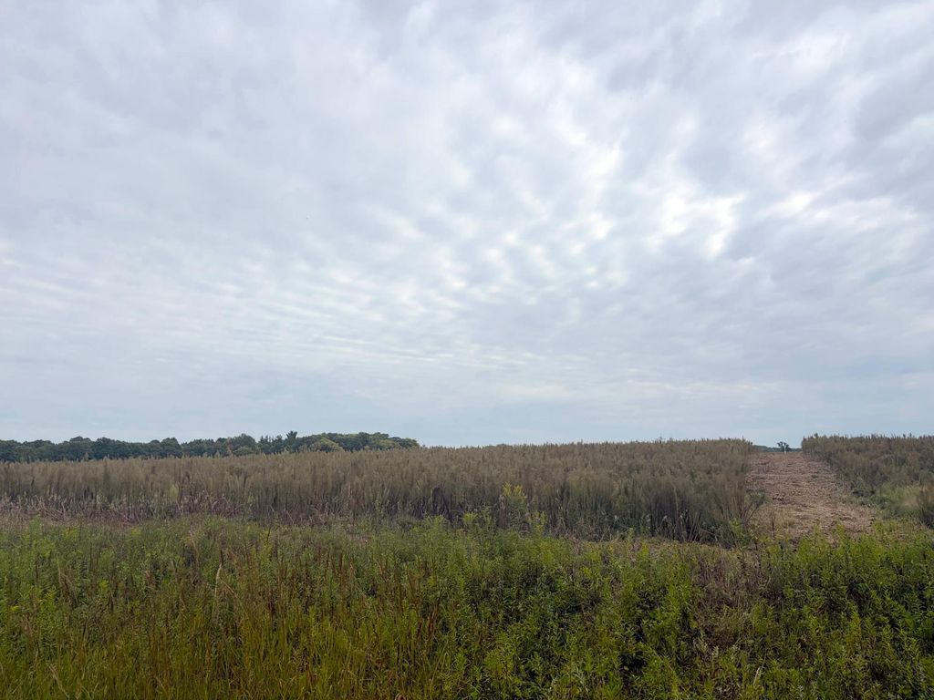TBD (L8-SM East) Flamingo Street NW, Isanti, MN 55040 — photo 3