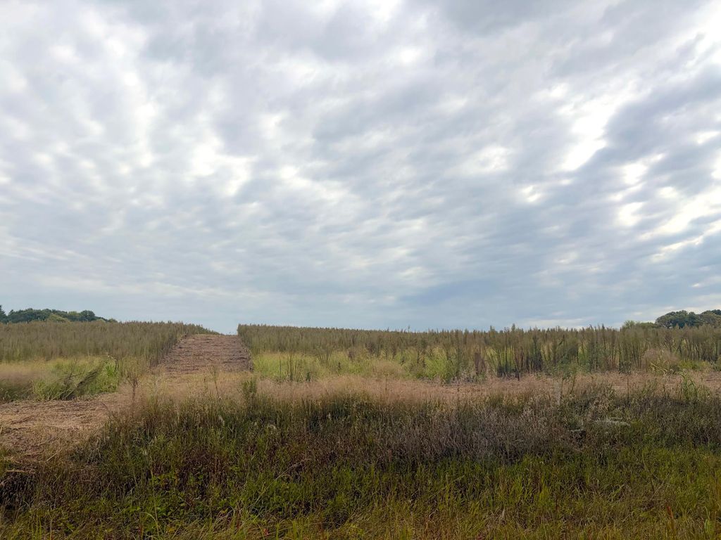 TBD (L8-SM East) Flamingo Street NW, Isanti, MN 55040 — photo 4