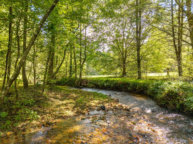 4126 Zion Hill Road, Ellijay, GA 30540