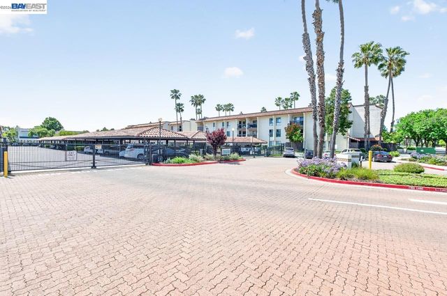 39931 Cedar Blvd 309, Newark, CA 94560