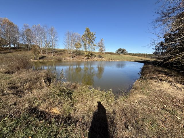 0 Henryville Rd, Summertown, TN 38483