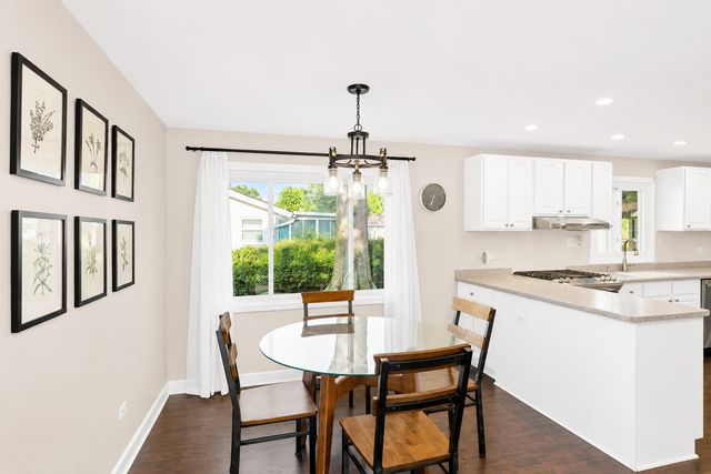 319 S BRAINTREE Drive, Schaumburg, IL 60193