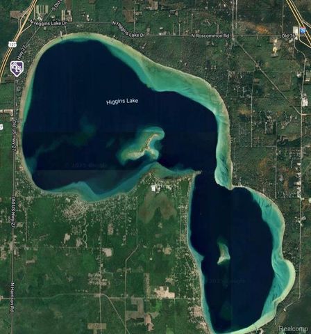 9887 W Higgins Lake Drive, Roscommon, MI 48653