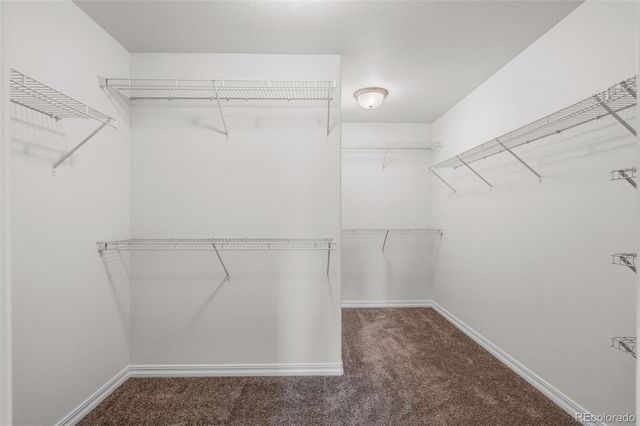 8320 White Fish Way, Colorado Springs, CO 80908