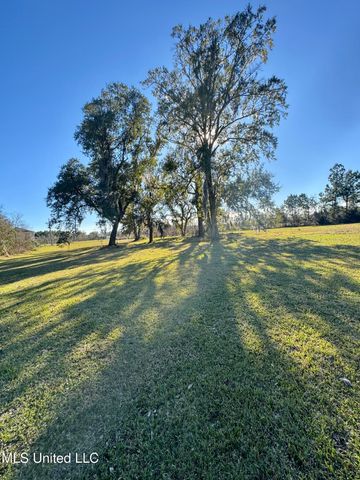 11219 Jordan River Drive, Bay Saint Louis, MS 39520