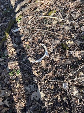 Parcel A W County Line Road, Greenville, MI 48838