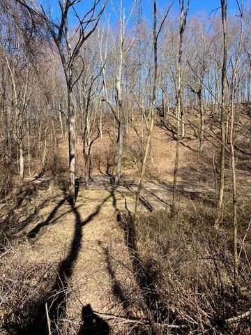 Parcel A W County Line Road, Greenville, MI 48838