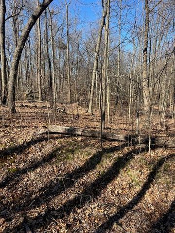 Parcel A W County Line Road, Greenville, MI 48838