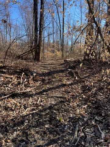 Parcel A W County Line Road, Greenville, MI 48838