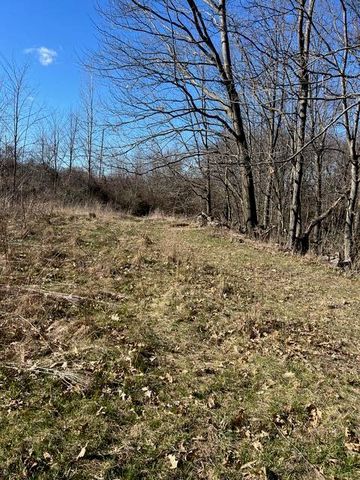 Parcel A W County Line Road, Greenville, MI 48838