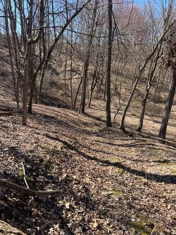 Parcel A W County Line Road, Greenville, MI 48838