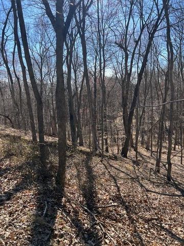 Parcel A W County Line Road, Greenville, MI 48838