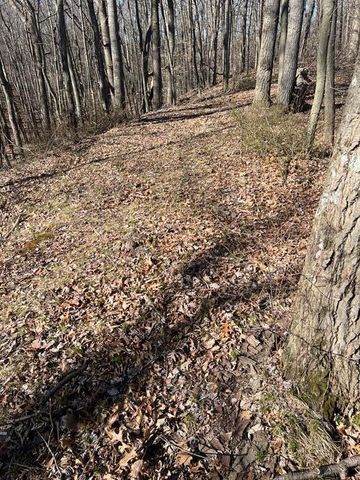 Parcel A W County Line Road, Greenville, MI 48838