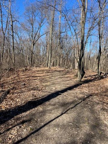 Parcel A W County Line Road, Greenville, MI 48838