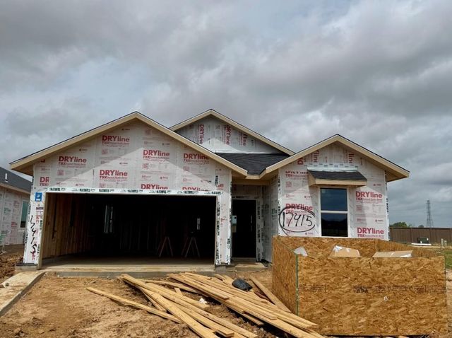 17415 Chestnut Chase Street, Hockley, TX 77447
