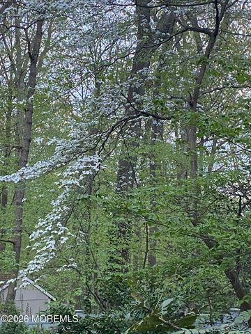 25 Dellwood Court, Middletown, NJ 07748