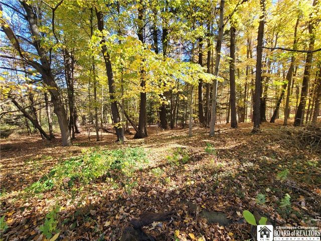 151 Avalon Boulevard, Ellicott, NY 14701