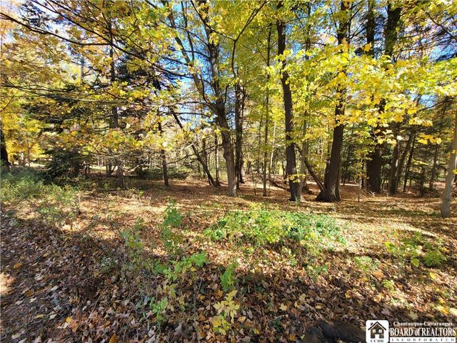 151 Avalon Boulevard, Ellicott, NY 14701