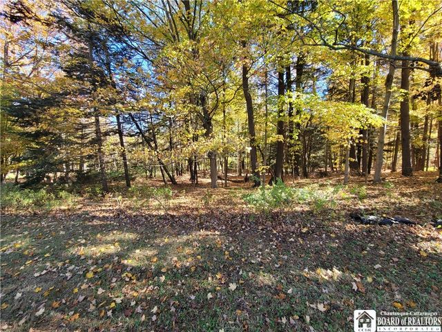 151 Avalon Boulevard, Ellicott, NY 14701