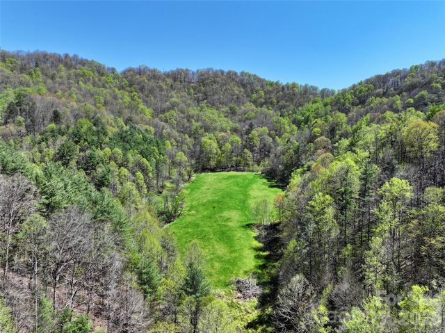 2180 Pigeon Roost Road, Green Mountain, NC 28740