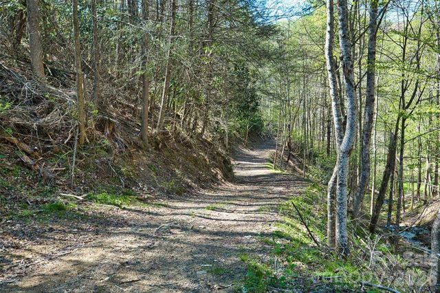2180 Pigeon Roost Road, Green Mountain, NC 28740