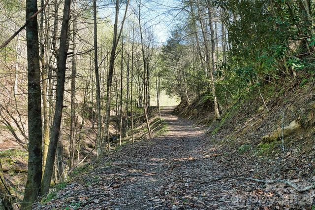 2180 Pigeon Roost Road, Green Mountain, NC 28740