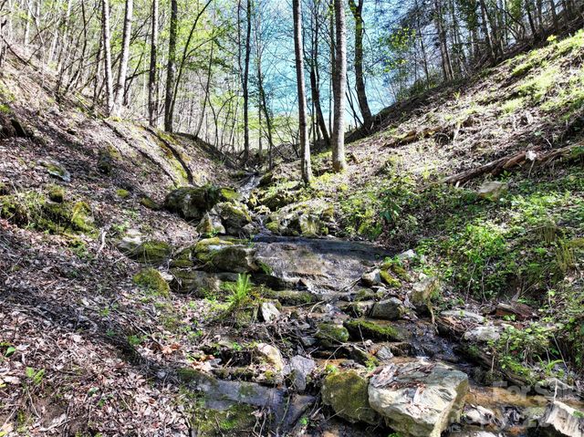2180 Pigeon Roost Road, Green Mountain, NC 28740