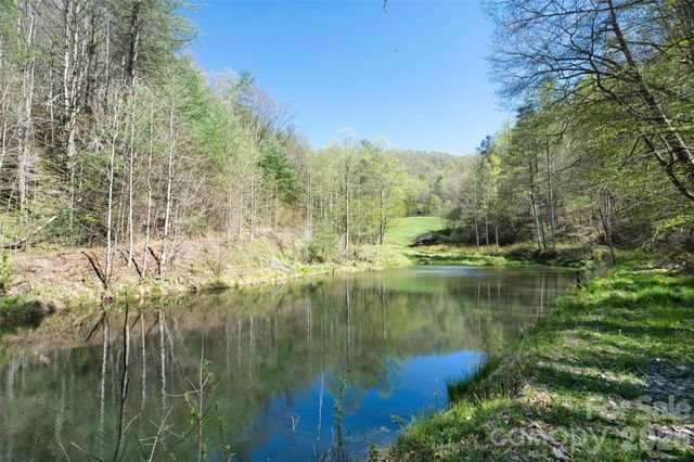 2180 Pigeon Roost Road, Green Mountain, NC 28740