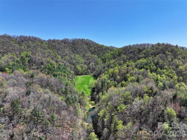 2180 Pigeon Roost Road, Green Mountain, NC 28740