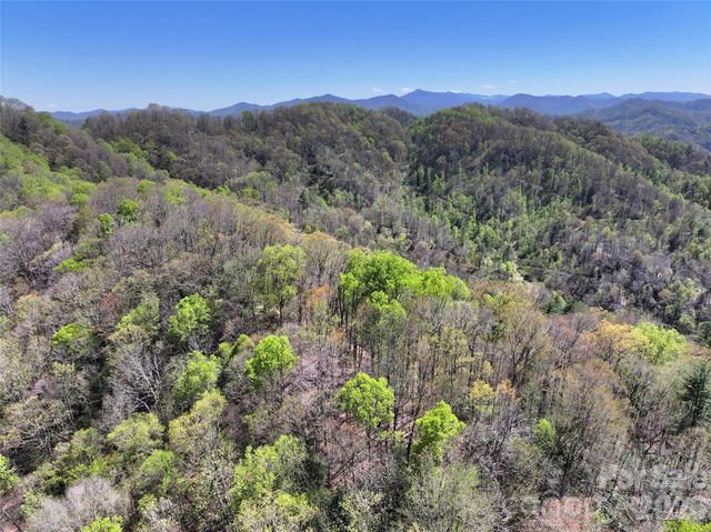 2180 Pigeon Roost Road, Green Mountain, NC 28740