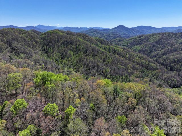2180 Pigeon Roost Road, Green Mountain, NC 28740