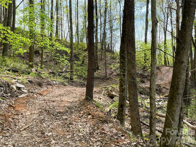 2180 Pigeon Roost Road, Green Mountain, NC 28740