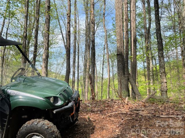 2180 Pigeon Roost Road, Green Mountain, NC 28740