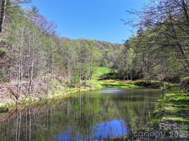 2180 Pigeon Roost Road, Green Mountain, NC 28740