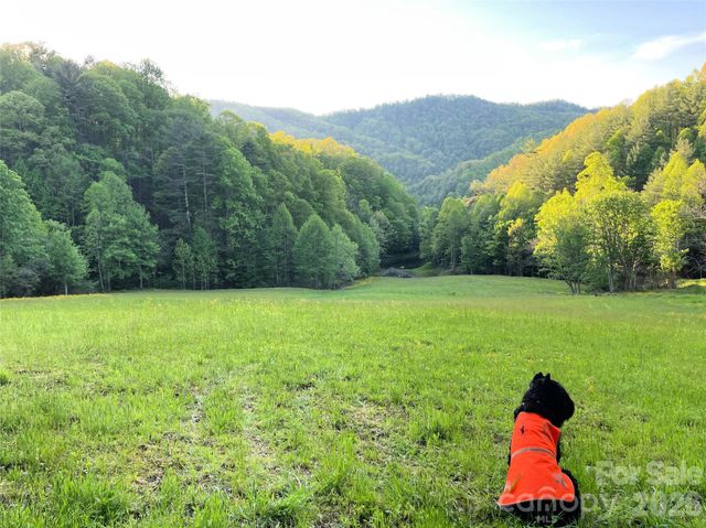2180 Pigeon Roost Road, Green Mountain, NC 28740