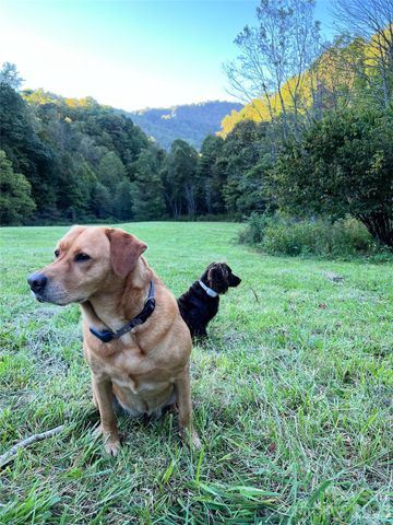 2180 Pigeon Roost Road, Green Mountain, NC 28740