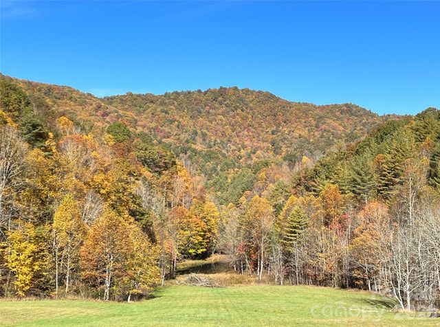 2180 Pigeon Roost Road, Green Mountain, NC 28740