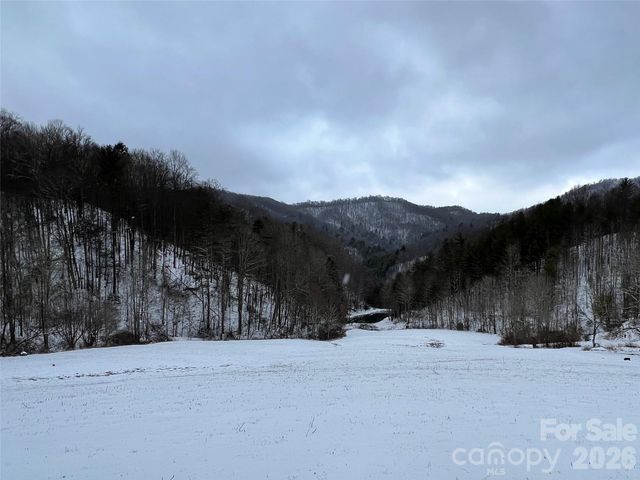 2180 Pigeon Roost Road, Green Mountain, NC 28740