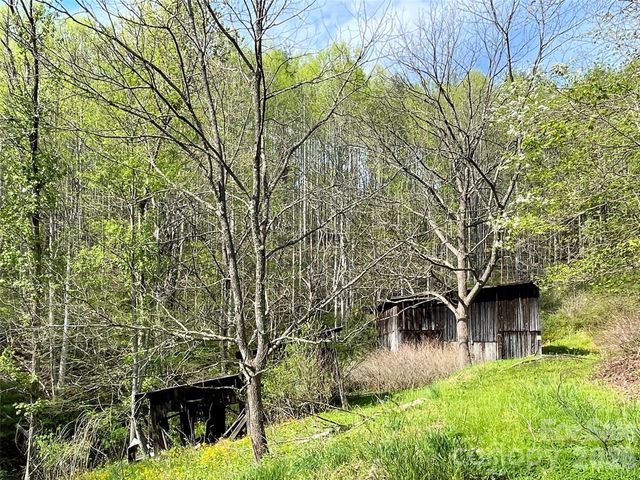 2180 Pigeon Roost Road, Green Mountain, NC 28740