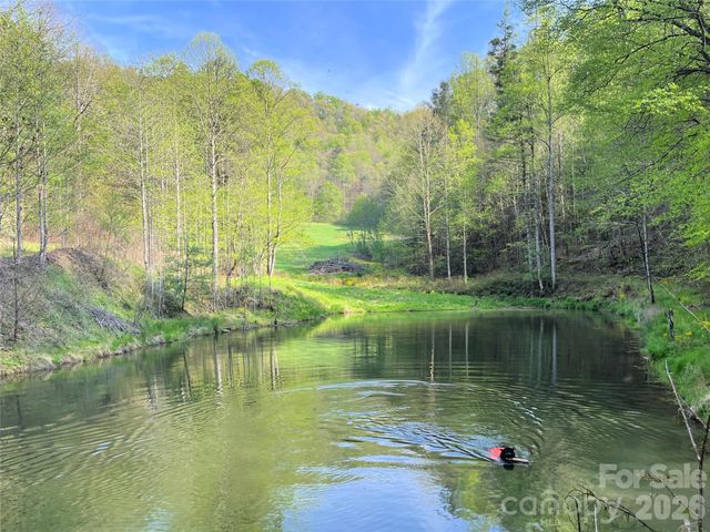 2180 Pigeon Roost Road, Green Mountain, NC 28740
