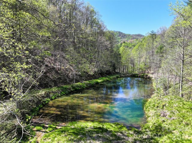 2180 Pigeon Roost Road, Green Mountain, NC 28740