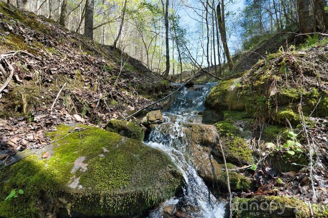 2180 Pigeon Roost Road, Green Mountain, NC 28740