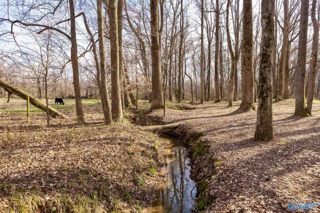 64 Elliot Road, Ardmore, TN 38449